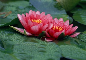 イメージ写真17