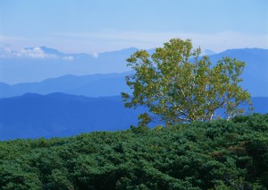 イメージ写真04