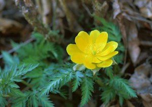 イメージ写真17