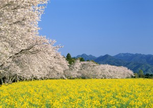 イメージ写真06