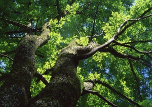 イメージ写真12